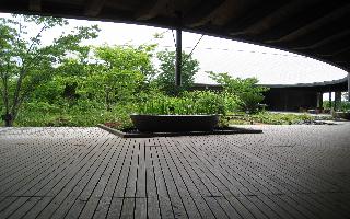 20080531-20080524-7.JPG